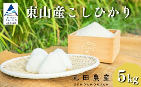 【先行予約】令和8年産 コシヒカリ 精米 5kg  コシヒカリ こしひかり 元田農産