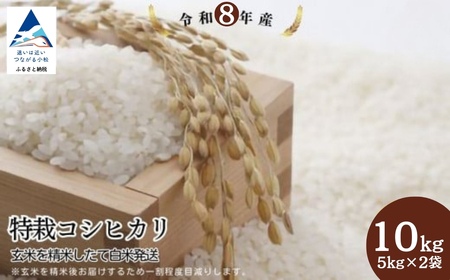 【先行予約】令和8年産 特栽コシヒカリ 玄米 10kg(5kg×2袋) 精米したて発送 精米 白米 こしひかり | 石川県 小松市【のむら農産】