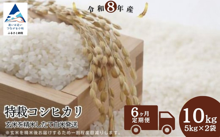 【先行予約】【定期便】令和8年産 特栽コシヒカリ 玄米10kg(5kg×2袋)×6ヶ月（毎月） 精米したて発送 精米 白米 こしひかり | 石川県 小松市【のむら農産】