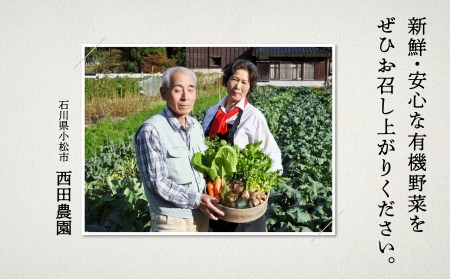 【有機JAS認定サラダ野菜】西田農園　季節の野菜詰合せ　Ｂセット 017002