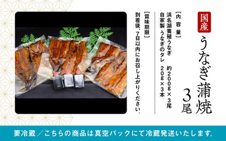 うなぎ 蒲焼3尾 うなぎ