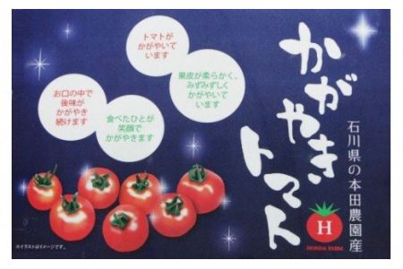 【人気のスイーツトマト】本田農園のかがやきトマト2箱（約70個） 014002