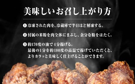 基地の新名物 小松基地空上げ からあげ ご自宅セット 600g 石川県小松市 ふるさと納税サイト ふるなび