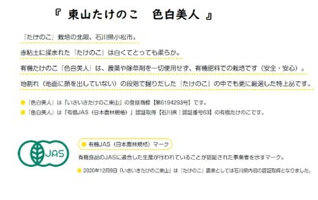 【先行予約】たけのこ有機JAS認証 白子たけのこ 「色白美人」4kg たけのこ 有機たけのこ 筍 037008