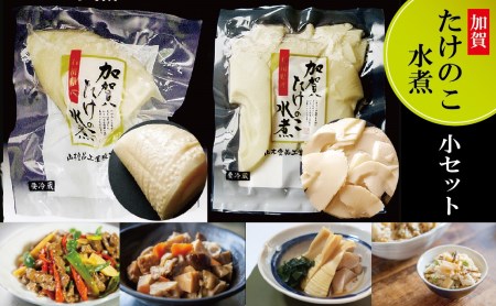 【真空包装で手軽に使える】加賀たけのこ水煮 小セット 006018 たけのこ 筍 筍 