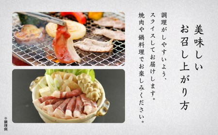 イノシシ肉 食べ比べセット(ロース モモ ウデ)合計505g ジビエ イノシシ肉