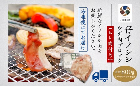 仔イノシシ ウデ肉 ブロック(ヒレ肉付き)800g ジビエ 猪国