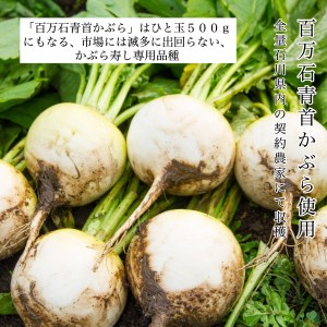 【加賀伝統の郷土料理】天然鰤のかぶら寿し　3袋 010180