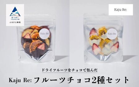 チョコ ドライフルーツ Kaju Re:フルーツチョコ2種セット りんご みかん パイナップル キウイフルーツ いちご