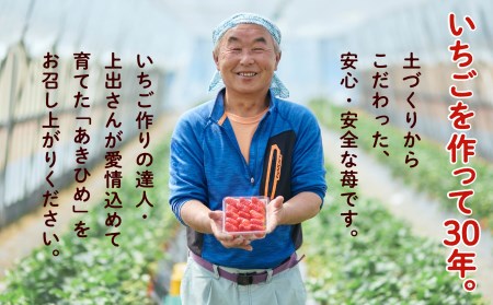  【JA小松市】こまつイチゴ（あきひめ）009041