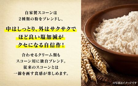 スコーンサンドセット(8個入り)  スコーン