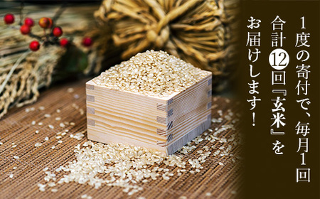 【定期便・令和5年産米】藤子ばぁちゃんのまごころ米玄米 5kg×12回（毎月） 144002