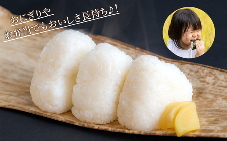 こしひかり 10kg こしひかり