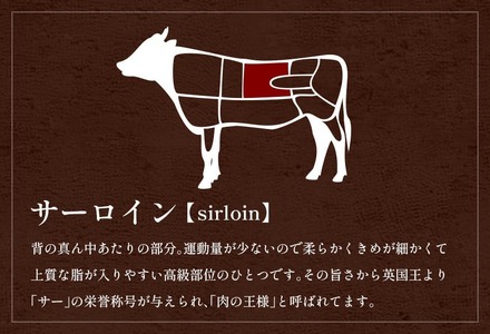 【和牛セレブ】能登牛 サーロインステーキ 240g