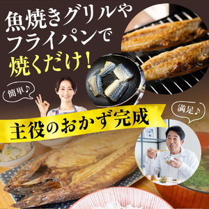 いしる干し（干物、冷凍）セット（小） wa003-002