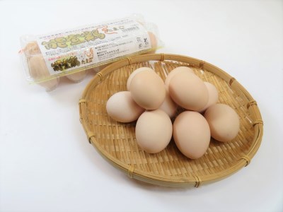 <ナカヤマエッグ>「能登鶏たまご(30個)」(27個+破卵補償3個)