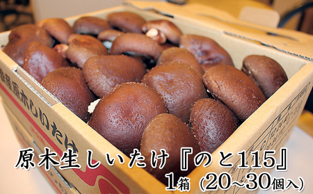 原木生しいたけ「のと115」1箱(20~30個入)