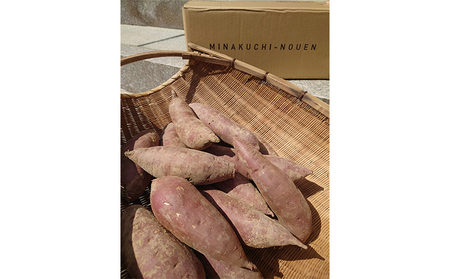 さつまいも  5kg 野菜 サツマイモ 石川県産 