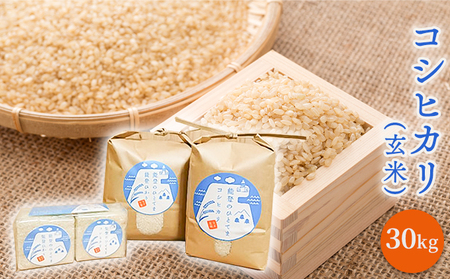 コシヒカリ（玄米）30kg | 石川県珠洲市 | ふるさと納税サイト「ふるなび」