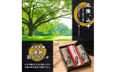 山中名物 蒲鉾詰め合わせ 3種×各1本 かまぼこ 食べ比べ セット 詰合せ 蒲鉾 カニ風味梅花 牛肉半月 サーモン巻き おかず おつまみ 肴 練り物  グルメ 食品 復興 震災 コロナ 能登半島地震復興支援 北陸新幹線 F6P-0487