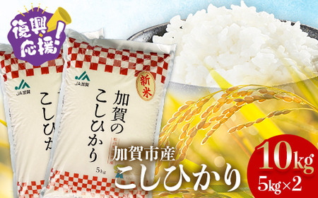 こしひかり 精米 10kg（5kg×2） 令和6年産 コシヒカリ 銘柄米 お米 米 ギフト 贈り物  グルメ 食品 復興 震災 コロナ 能登半島地震復興支援 北陸新幹線 F6P-2299