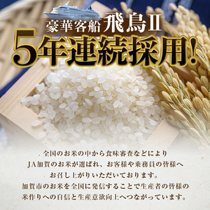 こしひかり 精米 10kg（5kg×2） 令和6年産 コシヒカリ 銘柄米 お米 米 ギフト 贈り物  グルメ 食品 復興 震災 コロナ 能登半島地震復興支援 北陸新幹線 F6P-2299