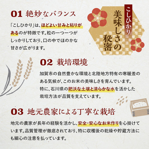 こしひかり 精米 10kg（5kg×2） 令和6年産 コシヒカリ 銘柄米 お米 米 ギフト 贈り物  グルメ 食品 復興 震災 コロナ 能登半島地震復興支援 北陸新幹線 F6P-2299