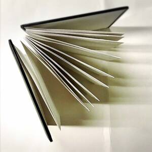 加賀山中塗 漆芸御朱印帳【曲水の里】 F6P-2035