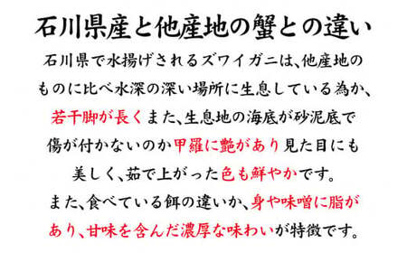【1月20日～3月31日発送】【先行予約】【冷蔵発送】石川県産 加能かに ズワイガニ ( 産地証明タグ付 ) 茹で上げ前重量 約1.0kg 1匹 特大サイズ F6P-2761