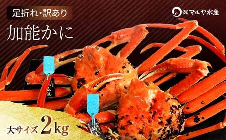 石川県産 加能かに ズワイガニ ( 産地証明タグ付 ) 訳あり 足折れ 大サイズ 2～3匹 合計2.0kg 1月20日～ 3月31日発送 産地証明 訳あり 家庭用 自宅用 足折れ 先行予約 予約 ブランド蟹 ボイル 茹で 蟹 復興 震災 コロナ 能登半島地震復興支援 北陸新幹線 F6P-2786
