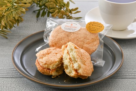 焼菓子 ダクワーズ 4種 12個 セット 能登塩 ラムレーズン キャラメル アールグレイ 【 焼菓子 】