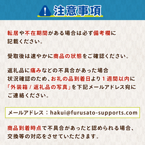 【6回定期便】 能登 こしひかり 5kg × 6ヶ月 石川県産 エコ栽培 コシヒカリ [のと米]