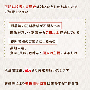 【6回定期便】 能登 こしひかり 5kg × 6ヶ月 石川県産 エコ栽培 コシヒカリ [のと米]