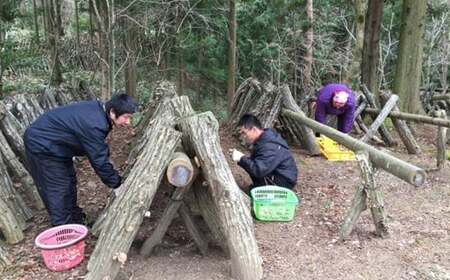 干ししいたけ 原木栽培 | 椎茸 【WF001】