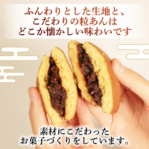 どらやき 10個 粒あん どらやき [HC002]