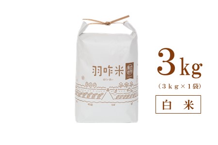 [A016] 【無農薬】【白米】能登のこだわり自然栽培こしひかり『羽咋米』 ３kg