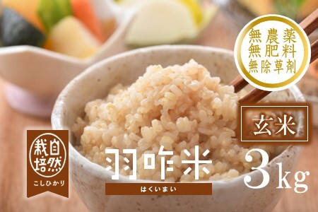 [A017] 【無農薬】【玄米】能登のこだわり自然栽培こしひかり『羽咋米』 ３kg