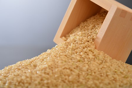 [A124] 【無農薬】【玄米】能登のこだわり自然栽培こしひかり『羽咋米』 １０kg