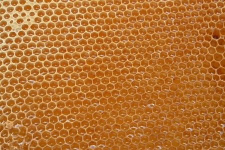 [H046] 能登産天然はちみつ『アカシア蜂蜜２本』セット