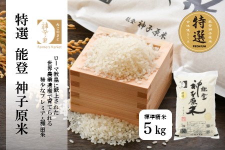 A093] 【令和５年産】能登神子原米 ５kg（標準精米） | 石川県羽咋市