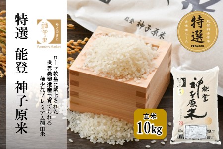 [A096] 【令和６年産】能登神子原米 １０kg（玄米）