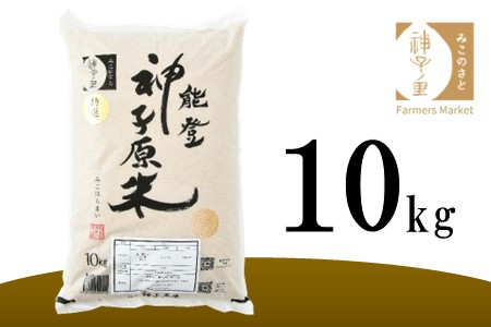 [A096] 【令和６年産】能登神子原米 １０kg（玄米）