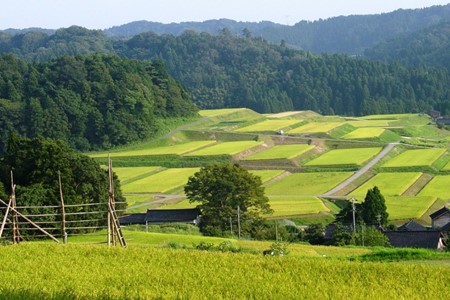 [A096] 【令和６年産】能登神子原米 １０kg（玄米）