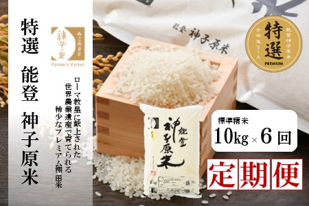 [A099] 【定期便】能登神子原米 １０kg×６回コース（標準精米）