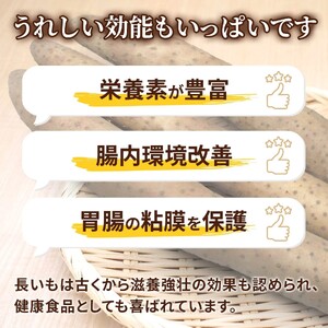 【先行予約】【2025年収穫分】長いも（ネバリスター）5kg１箱／粘りが強く旨味のある品種／滋養強壮／シャキシャキ食感／
