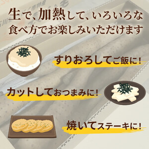 【先行予約】【2025年収穫分】長いも（ネバリスター）5kg１箱／粘りが強く旨味のある品種／滋養強壮／シャキシャキ食感／