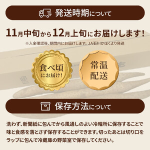 【先行予約】【2025年収穫分】長いも（ネバリスター）5kg１箱／粘りが強く旨味のある品種／滋養強壮／シャキシャキ食感／