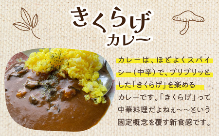灰猫のきくらげカレー&ひらたけクリームスープのお試しセット