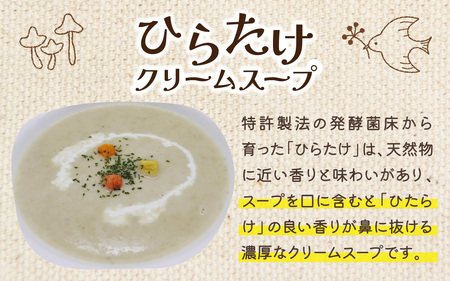 灰猫のきくらげカレー&ひらたけクリームスープのお試しセット