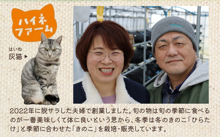 灰猫のきくらげカレー&ひらたけクリームスープのお試しセット